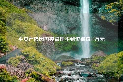 平安产险因内控管理不到位被罚30万元