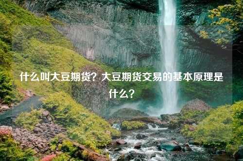 什么叫大豆期货？大豆期货交易的基本原理是什么？