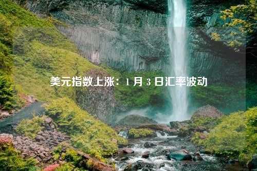 美元指数上涨：1 月 3 日汇率波动