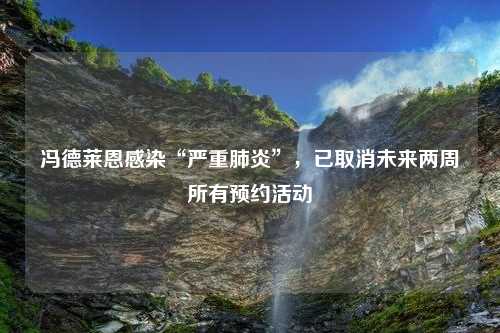 冯德莱恩感染“严重肺炎”，已取消未来两周所有预约活动