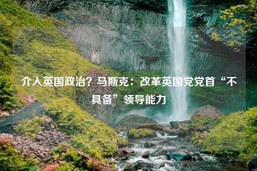 介入英国政治？马斯克：改革英国党党首“不具备”领导能力