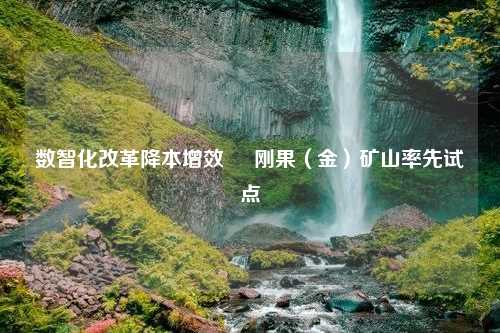 数智化改革降本增效     刚果（金）矿山率先试点