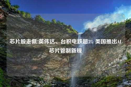 芯片股走低 英伟达、台积电跌超3% 美国推出AI芯片管制新规