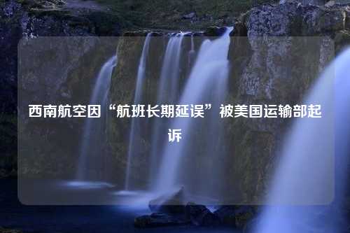 西南航空因“航班长期延误”被美国运输部起诉