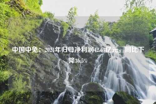 中国中免：2024年归母净利润42.63亿元，同比下降36.5%