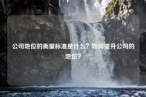 公司地位的衡量标准是什么？如何提升公司的地位？