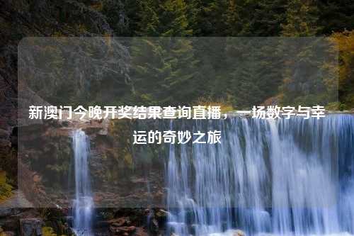 新澳门今晚开奖结果查询直播，一场数字与幸运的奇妙之旅